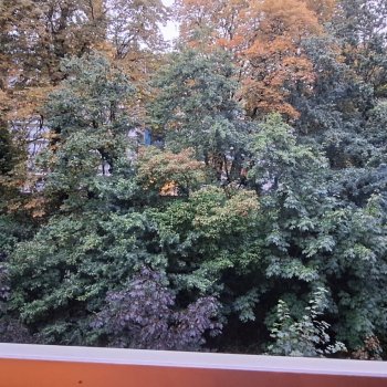 20260818_205323.jpg